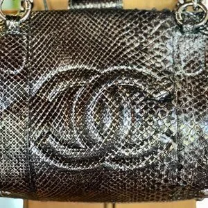 CHANEL | Bags | Chanel Metallic Python Shoulder Bag | Poshmark
